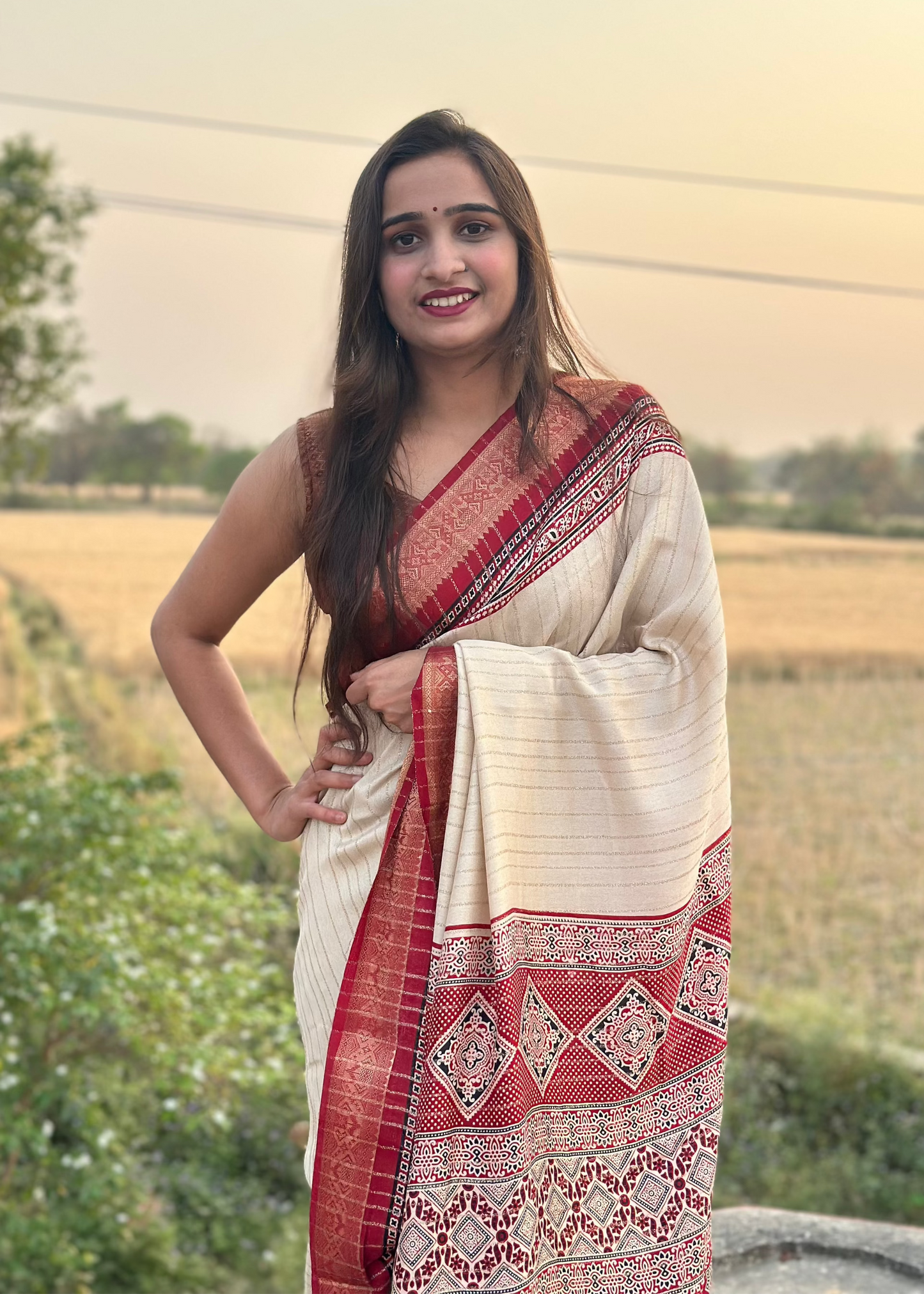 Zari border Soft Ajrakh Pallu Saree